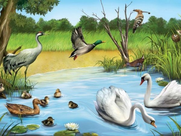 Басня Дмитриева лебедь и гагары