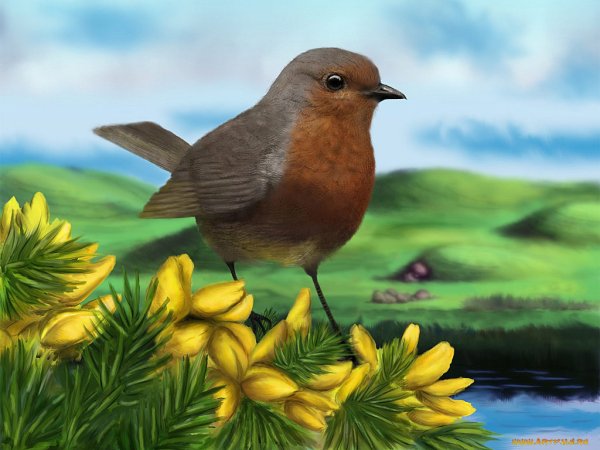 Анимация птицы весной