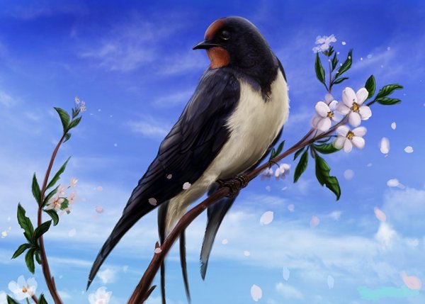 Птицы весной