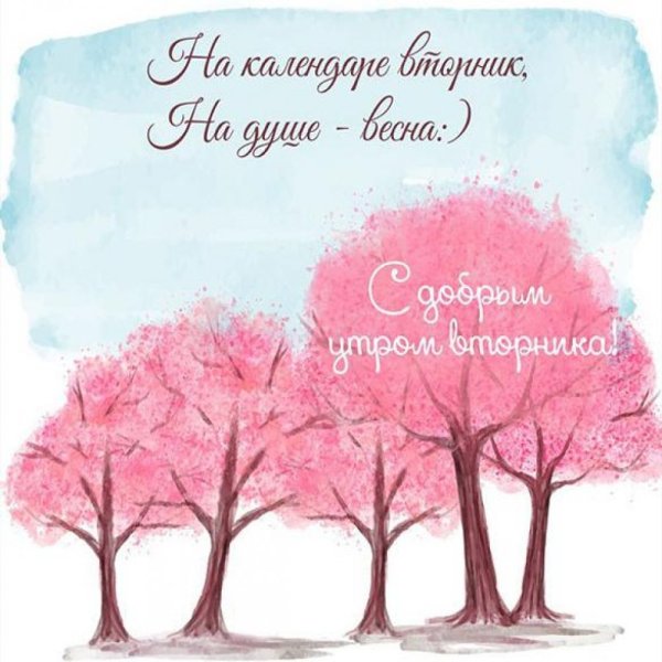 Вторник цитаты