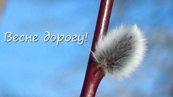 Весна идеттвесне дорогу