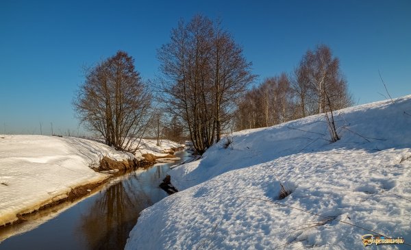 Весенний пейзаж с рекой