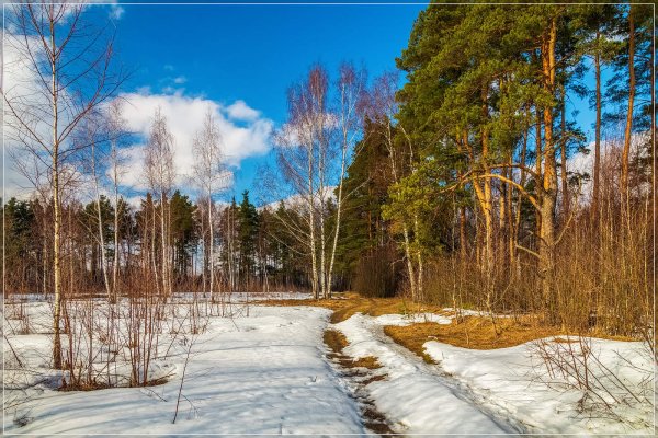 Весна пейзаж