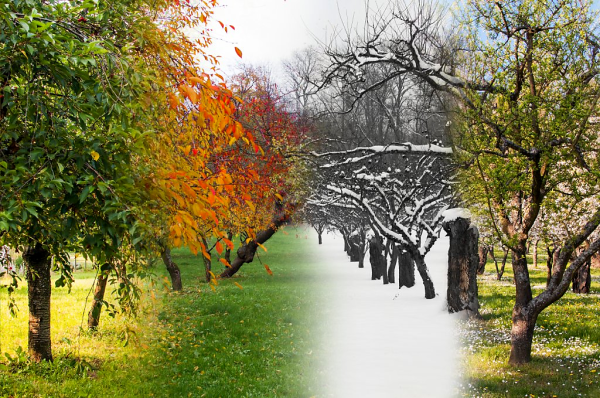 Пейзаж в четырёх времени года
