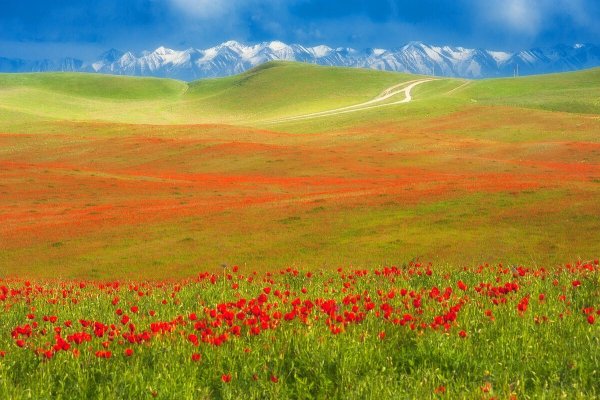 Степная зона Саратовской области