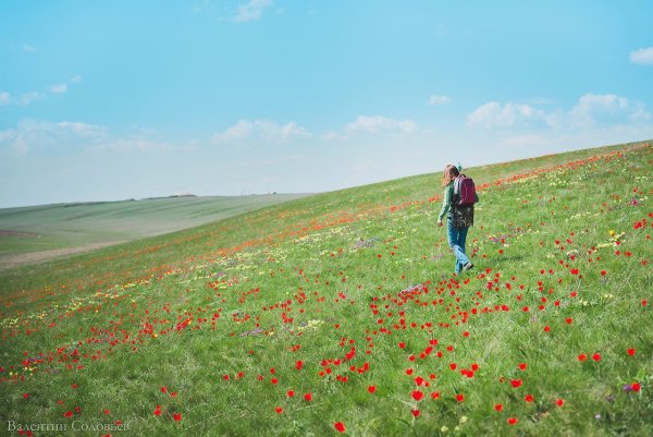 Алтайский край Кулундинская степь зима