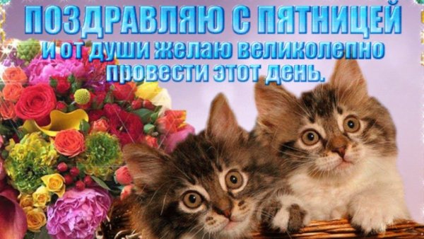 Здравствуй пятница