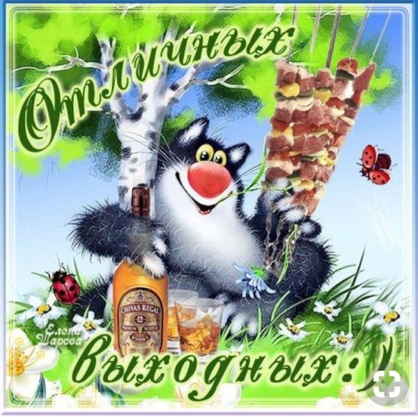 Вот и пятница пришла с добрым утром