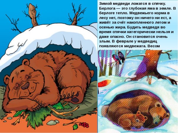 Медвежонок Умка. Рисование тычком и пластиковой картой