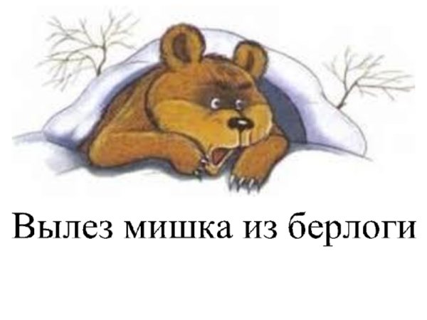 Весенняя Берлога медведя