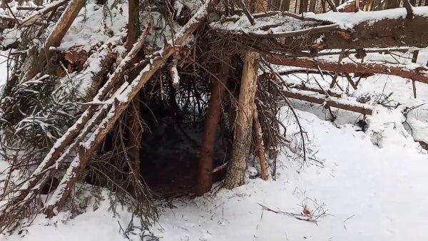 Норы животных зимой