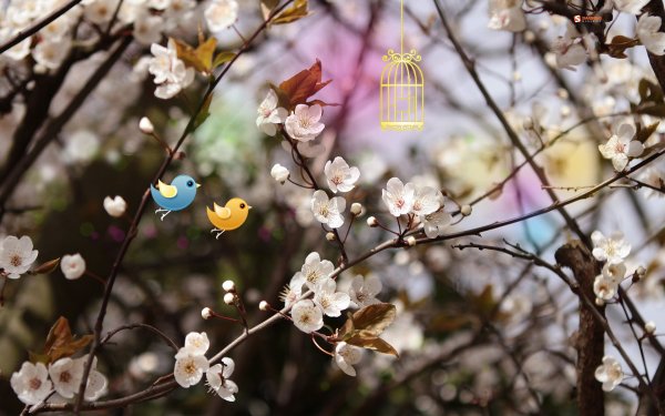 Весна природа оживает