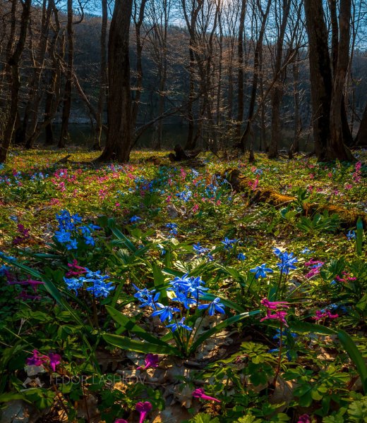Красивые пейзажи ранней весны