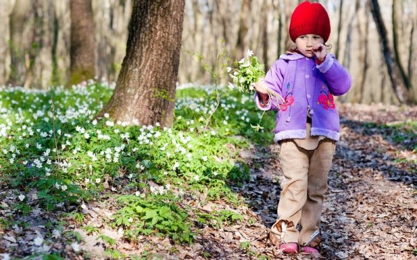 Лес весной для детей