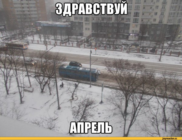 Снег весной юмор