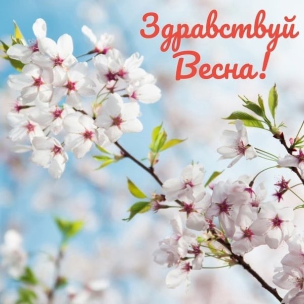 Да здравствует Весна