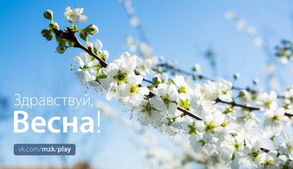 Здравствуй Весна
