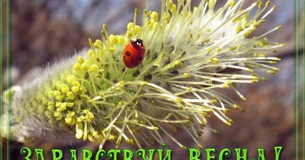 С началом весны