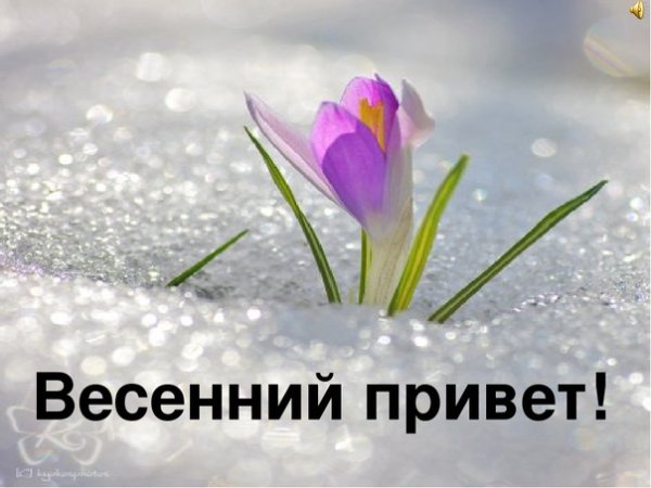 Прекрасный апрель