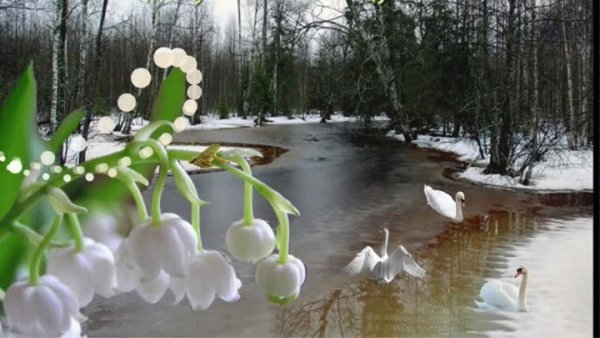 Весна проталины подснежники природа