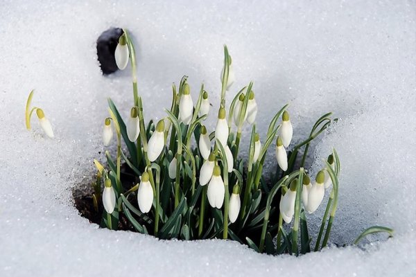 Весна надпись