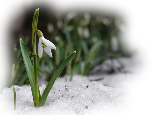 Ранняя Весна