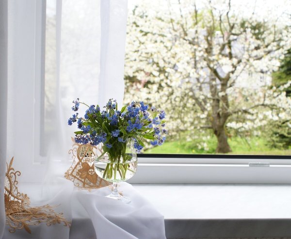 Весна за окном