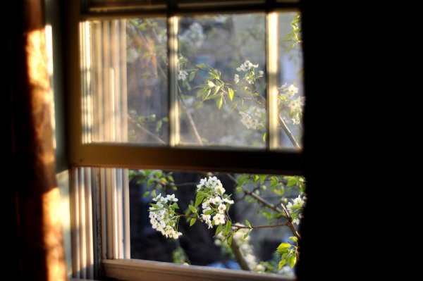 Открытое окно