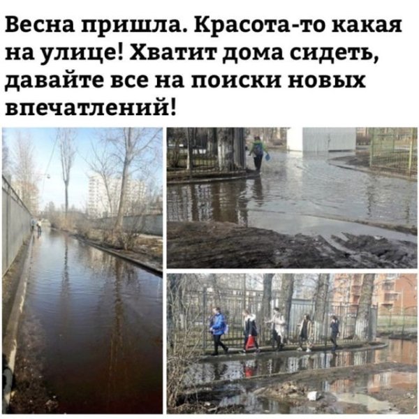 Здравствуй Весна