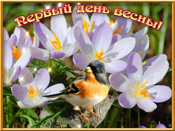 Поздравление с первым днем весны