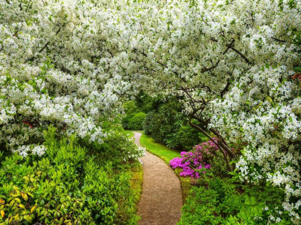 Пробуждение весны