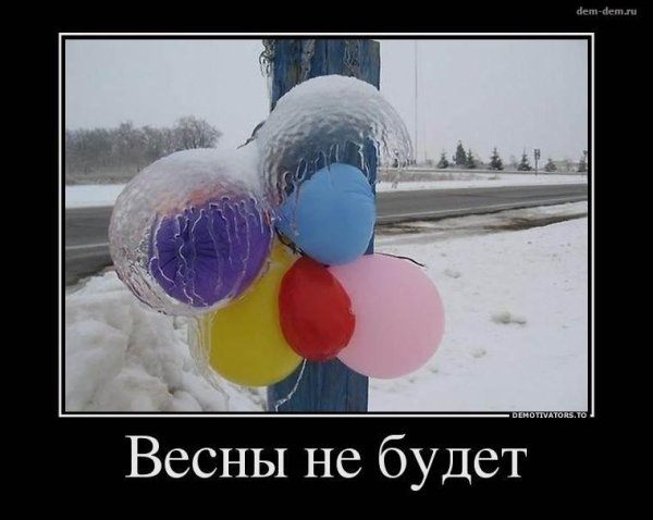 Демотиватор воздушными шарами