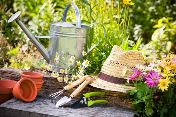 Товары для сада и огорода