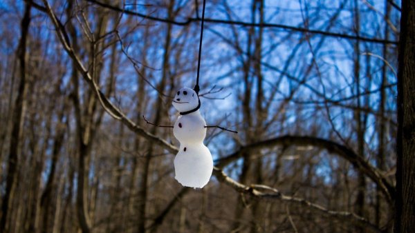 Весна и мартовские коты