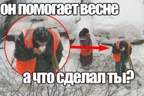 Помоги весне ешь снег