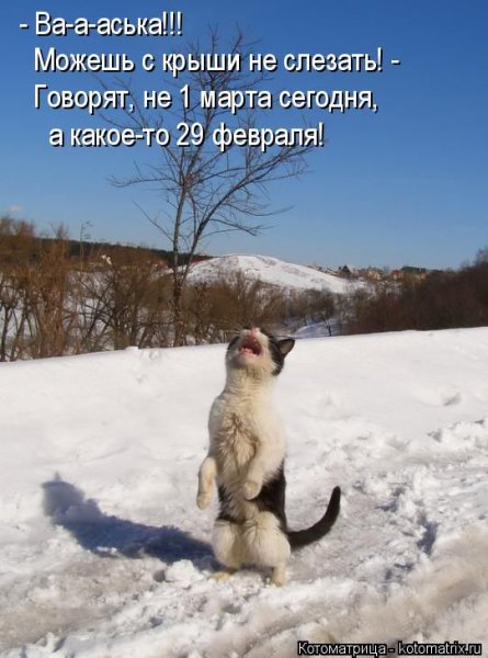 Где Весна