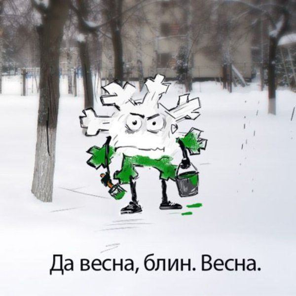 Весенние коты с надписями