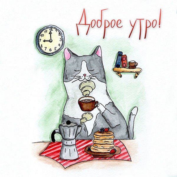 Веселые зимние коты