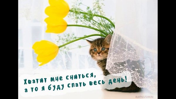 Весна на носу