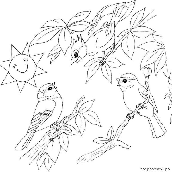 Природа Весна птицы раскраски