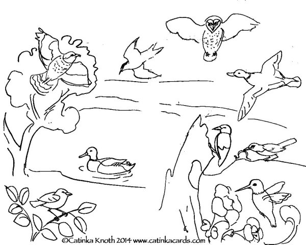 Раскраска гнездо птицы