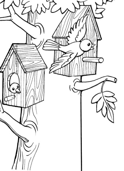 Раскраска природа