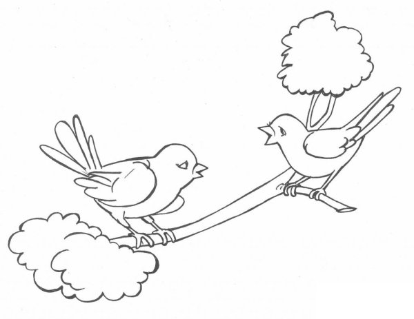 Птицы раскраска для детей
