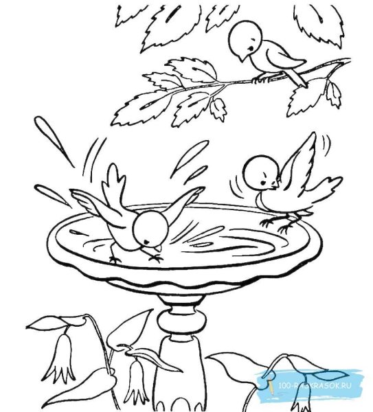 Скворечник с птицами раскраска