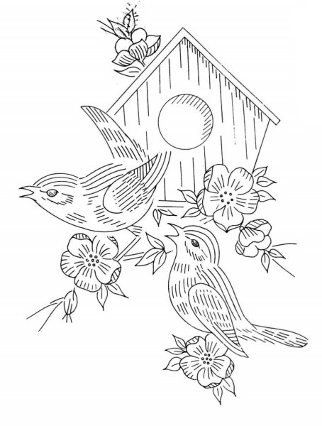 Птичка раскраска