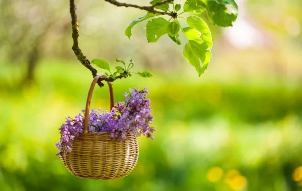 Пожелания с добрым весенним утром