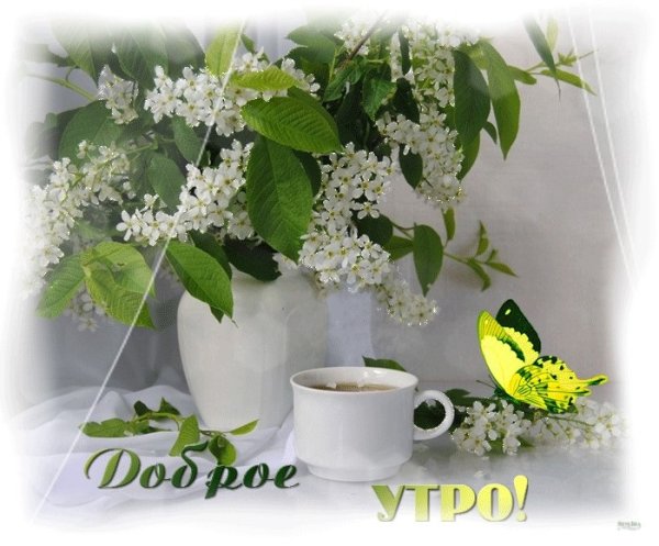 Доброе летнее утро гифки