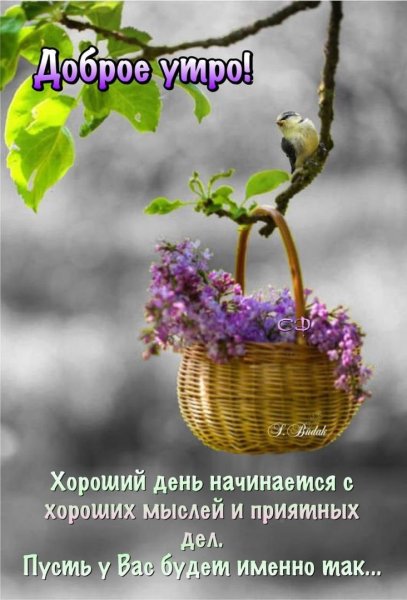 Прекрасного летнего утра удачи и