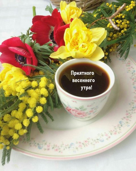 Утро кофе