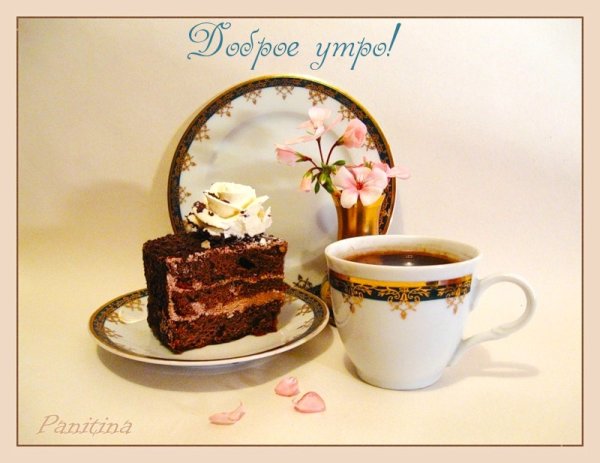 Фиолетовые тюльпаны кофе